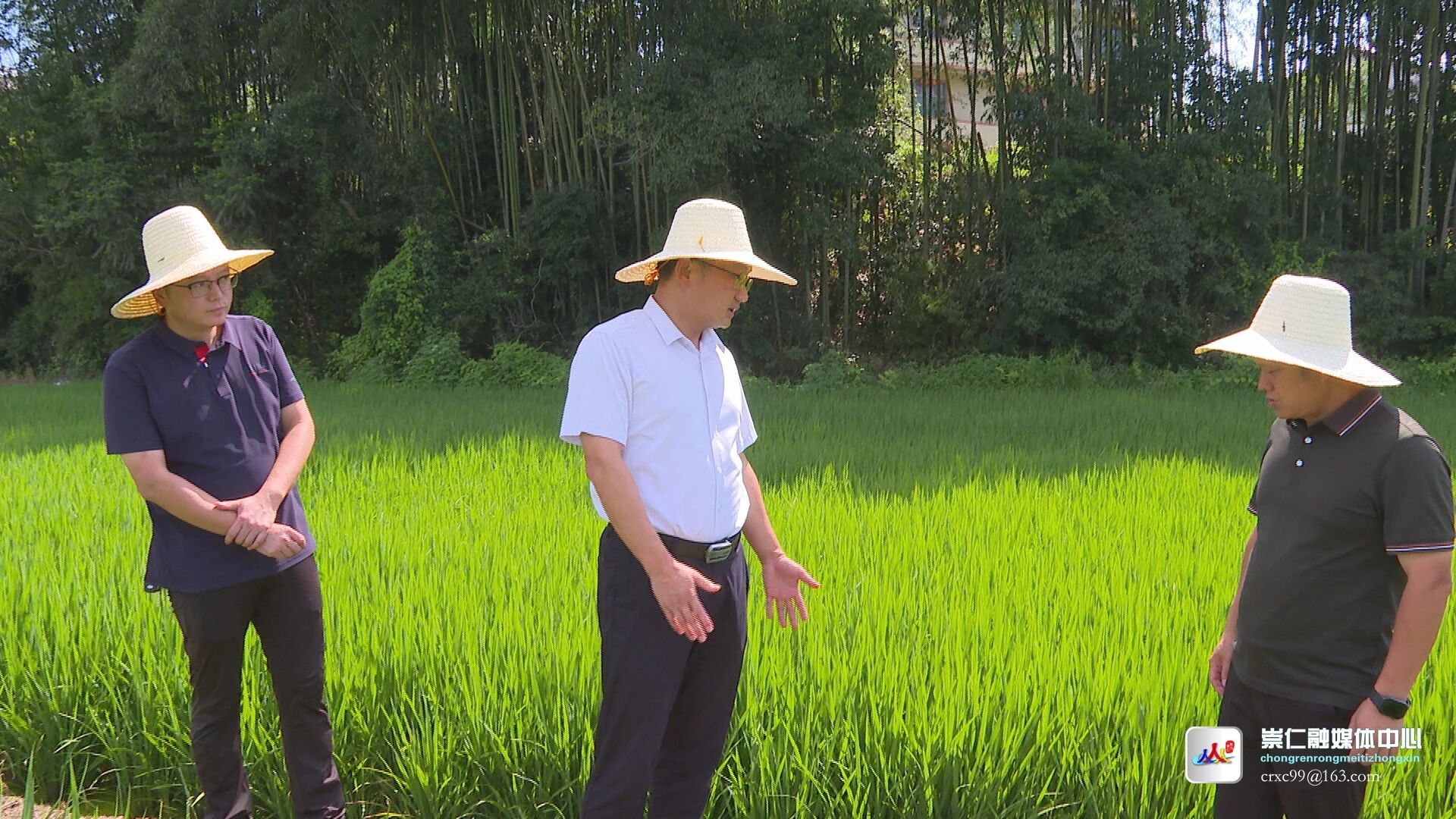 李如贤调研高标准农田建设工作